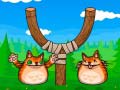 Juego Dispara al gato enojado en línea