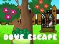 Juego Escape de la paloma en línea