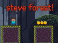 Juego Bosque de Steve en línea