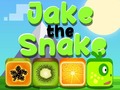 Juego Jake la Serpiente en línea