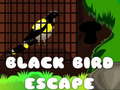 Juego Escape del Pájaro Negro en línea