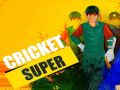 Juego Super Cricket en línea