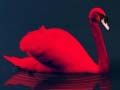 Juego Rompecabezas de Pájaros de Amor en línea