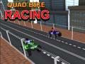 Juego Carrera de Quad en línea