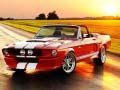 Juego Diferencias en Mustang Elegante en línea