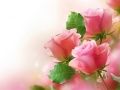Juego Rosas Rosadas en línea