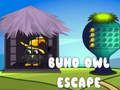 Juego Escape del búho Buho en línea