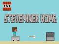 Juego Steveminer Hogar en línea