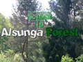 Juego Regreso al bosque de Alsunga en línea