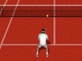 Juego Tenis Real en línea