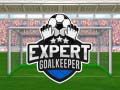 Juego Portero Experto en línea