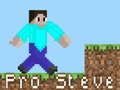 Juego Pro Steve en línea