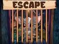 Juego Escape de la hermosa pequeña murciélago en línea