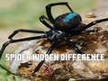 Juego Araña: Encuentra la diferencia en línea