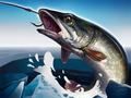 Juego Pesca en hielo 3D en línea Juego Pesca en hielo 3D en línea