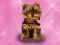 Juego Baño de mascotas Princesa Niños en línea