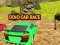 Juego Carrera de Coches Dino en línea