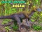 Juego Rompecabezas de los dinosaurios más pequeños en línea
