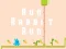 Juego Corre, conejo, corre en línea