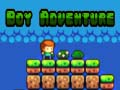 Juego Aventura del chico en línea