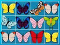 Juego Rey del Mahjong en línea