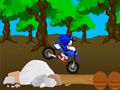 Juego Carrera Cruzada Sonic en línea