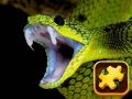 Juego Desafío Puzzle de Serpiente en línea