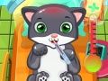 Juego Doctor Gato en línea