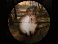 Juego Caza de conejos francotiradores clásica 2019 en línea