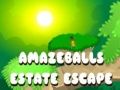 Juego Escape Asombroso de la Mansión en línea