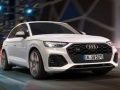 Juego Audi SQ5 TDI Deslizamiento en línea