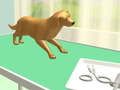 Juego Cuidado de patas en línea