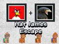 Juego Escape de James con Sombrero en línea