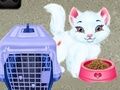 Juego Cuidado de Mascotas Baby Taylor en línea