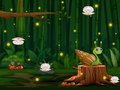 Juego Carrera de Caracol en línea