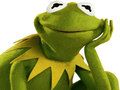 Juego Libro para Colorear de Kermit la Rana en línea