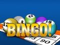 Juego Bingooo 2024 en línea