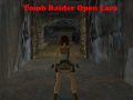 Juego Tomb Raider: Lara Abierta en línea