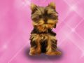Juego Baño de mascotas Princesa Niños en línea Juego Baño de mascotas Princesa Niños en línea