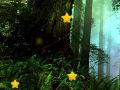 Juego Estrellas Ocultas en línea