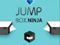 Juego Ninja de la Caja Saltar en línea