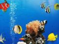 Juego Diferencias submarinas en el mar en línea