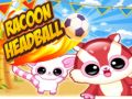 Juego Cabeza de Mapache en línea