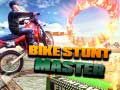 Juego Maestro de Acrobacias en Bicicleta en línea