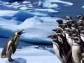 Juego Deslizamiento de Pingüinos en línea