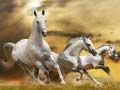 Juego Deslizamiento del Caballo Corredor en línea