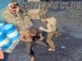 Juego Club de lucha en línea