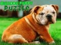 Juego Rompecabezas de cachorros bulldog en línea