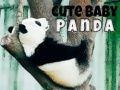 Juego Lindo bebé panda en línea