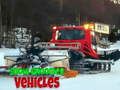 Juego Vehículos de Acondicionamiento de Nieve en línea